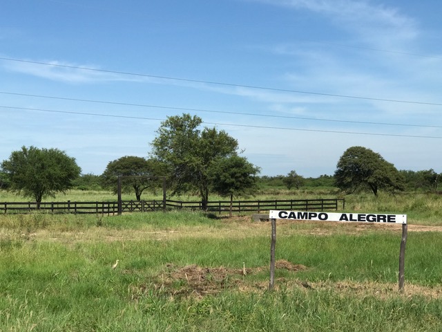 Campo Alegre