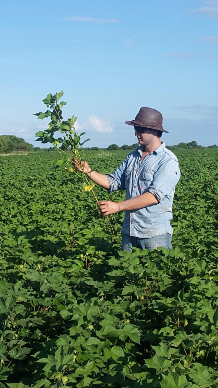El Cacuy | Estancia Agrícola 500 Ha - Formosa, Argentina