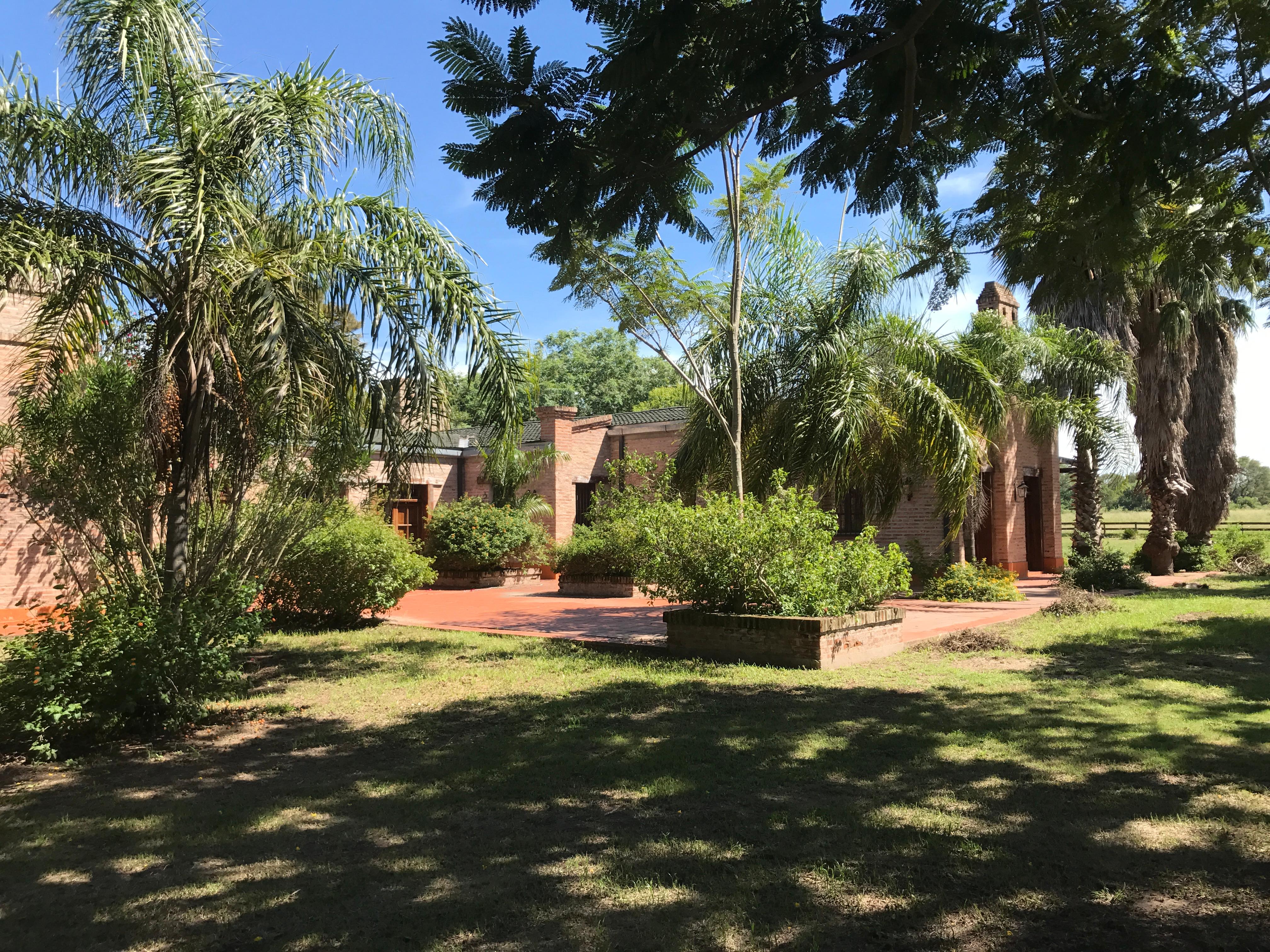 El Yarará