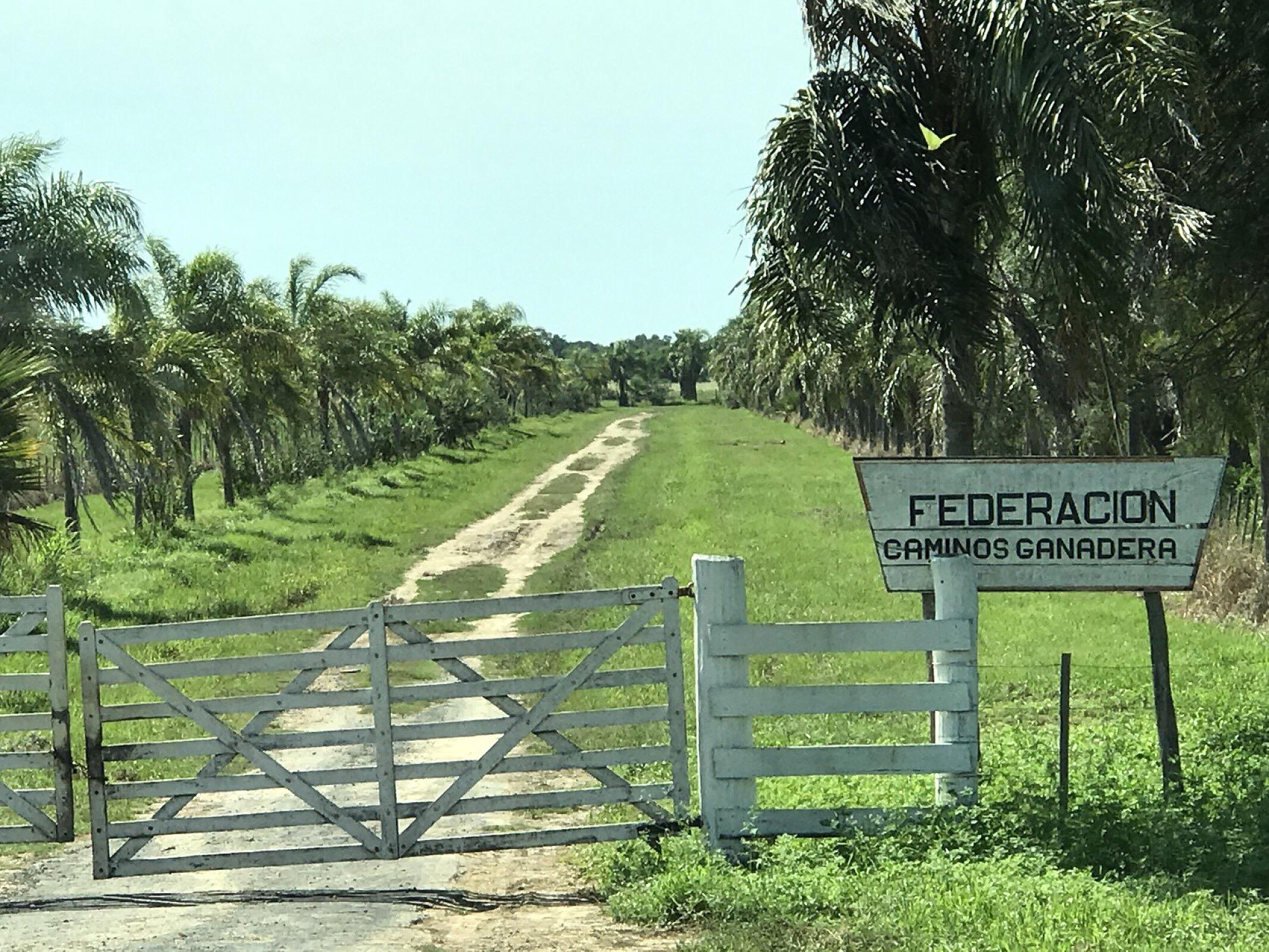 La Federación