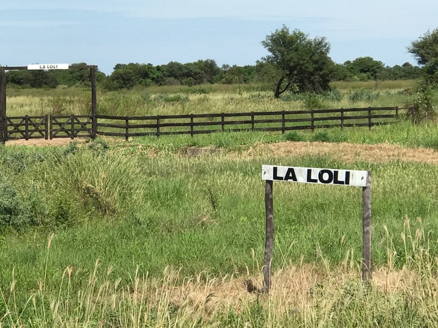 La Loli